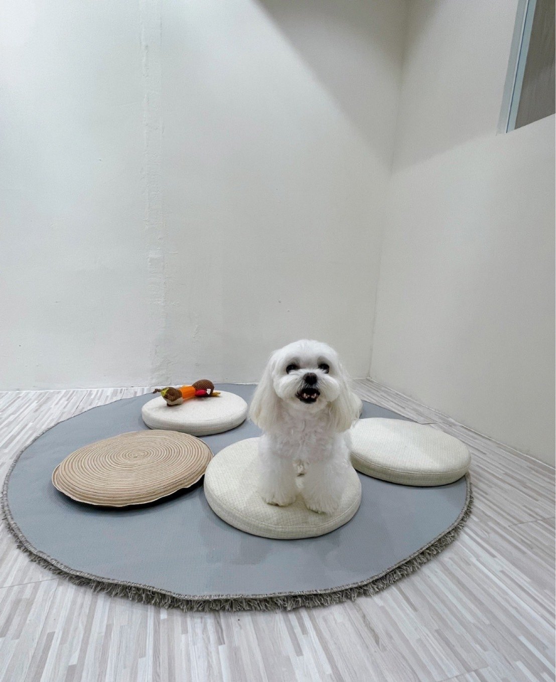 造型作品